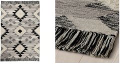 Nettoyage tapis / canapés